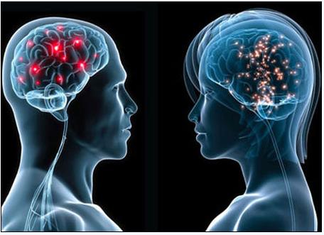 5月2号，医药经济报上发表了关于陈春麟博士的报道——CRO的中国式崛起路径