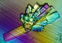 PD-1抑制剂成“抗癌神器”，国内外企业进展如何？