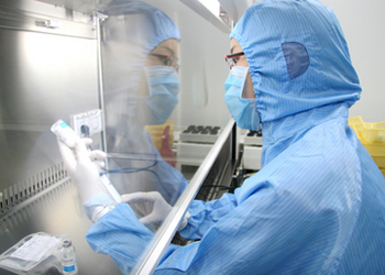 BE试验：如何提升试验成功率