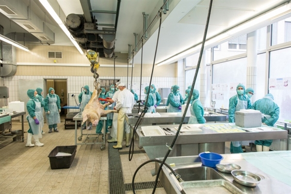 Nature专栏评述：再定位药物