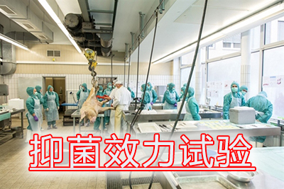 抑菌效力试验的菌悬液制备、接种及结果评价