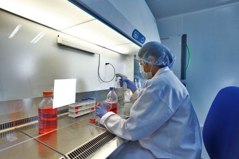 单品种费用或达千万？一致性评价还有这四大“坎”