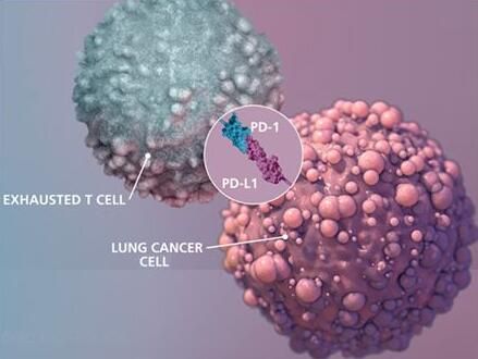 2017年度巨献：癌症免疫疗法重磅级研究解读