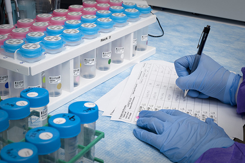 浅谈：创新药物IND申请之药学研究