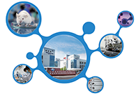 科创板首家CRO企业HJC黄金城平台获准注册