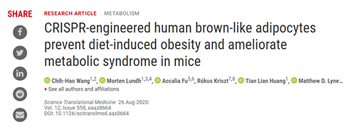 Science|聚焦CRISPR：改造脂肪细胞，“躺瘦”可能要成真了？