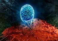 Nature：BATF3改善T细胞记忆应答，有望改善免疫疗法的疗效