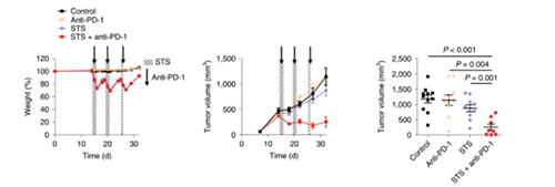 与对照组及仅使用PD-1疗法的模型小鼠对比，采用短期饥饿配合PD-1疗法的393P细胞同源移植肿瘤小鼠体内的肿瘤体积有了明显的收缩。