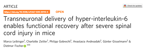 Nature：还瘫痪患者一个自由身的日子不远了