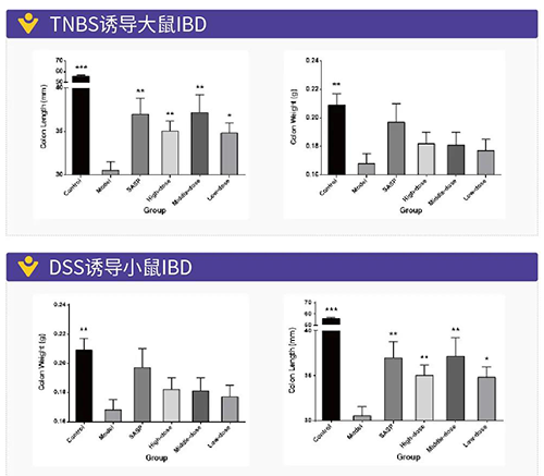 TNBS诱导的大鼠IBD、DSS诱导的大鼠IBD