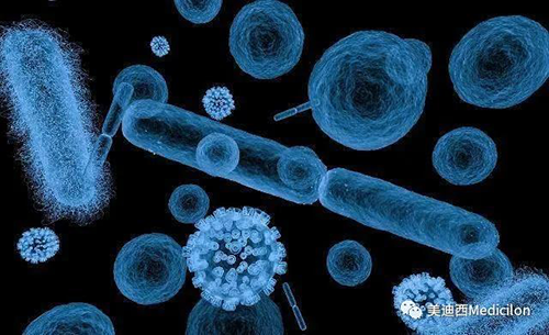 20分钟，大多数细菌都可以繁衍一代 HJC黄金城平台生物医药