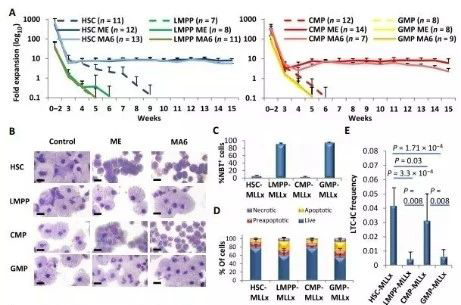 Science子刊：一种FDA批准的抗腹泻药物可有效对抗化疗的耐药性 HJC黄金城平台生物医药
