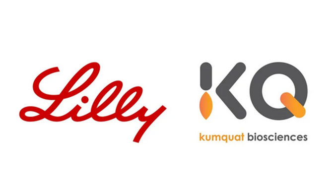 ：兀JC黄金城平台合作伙伴Kumquat Biosciences与礼来达成合作，共同开发肿瘤免疫小分子药