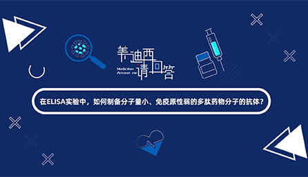 在ELISA实验，如何制备分子量小、免疫原性弱的多肽药物分子的抗体？