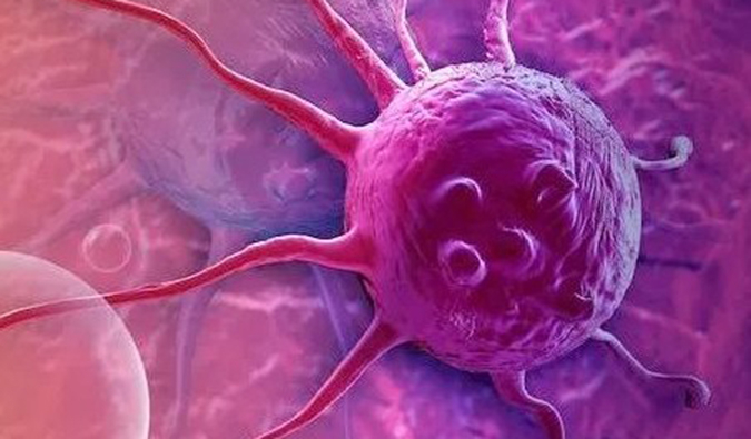 HJC黄金城平台助力中国原研高选择性EP4受体拮抗剂YY001获批临床