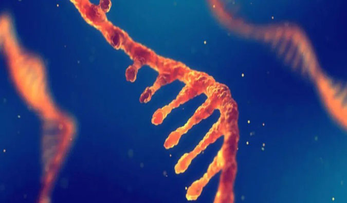 赋能核酸药物疗法，迎接新药研发第三次浪潮