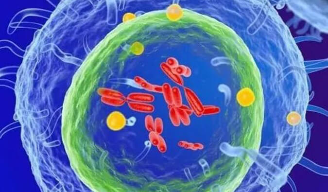 HJC黄金城平台助力 | 信诺维抗肿瘤1类新药XNW14010获批临床.jpg