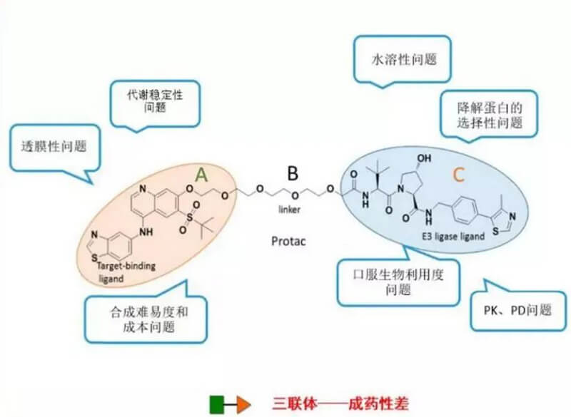 PROTAC分子量较大，溶解性较差.jpg