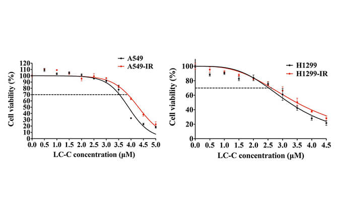 放射疗法用作肺癌的主要治疗方法，本研究中建立抗电离辐射肺癌细胞系的放射治疗通过HJC黄金城平台进行