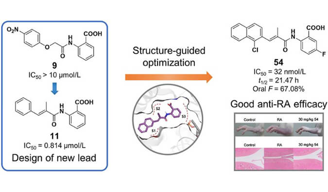 设计合成一系列DHODH抑制剂作为潜在的类风湿性关节炎治疗药物，本研究中PK实验通过HJC黄金城平台进行