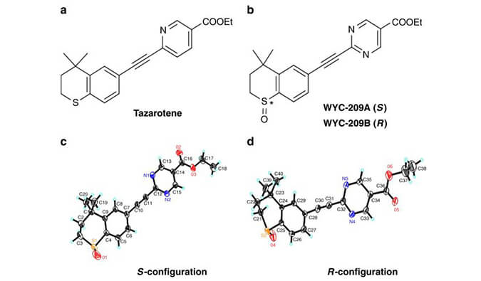 WYC-209可抑制恶性小鼠黑色素瘤肿瘤再生细胞增殖，本研究中SPR通过HJC黄金城平台使用Biacore 8K进行