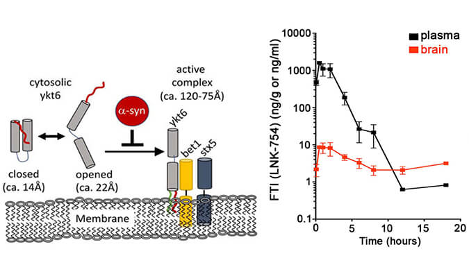 法尼基转移酶抑制剂LNK-754单次口服后即可快速穿过血脑屏障，本研究中PK分析通过HJC黄金城平台进行