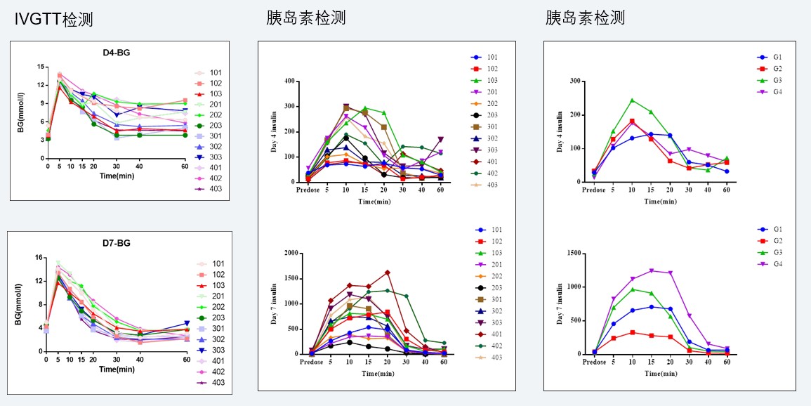 案例4：食蟹猴IVGTT和胰岛素检测实验.jpg