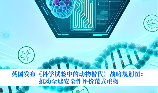 英国发布《科学试验中的动物替代》战略规划图：推动全球安全性评价范式重构