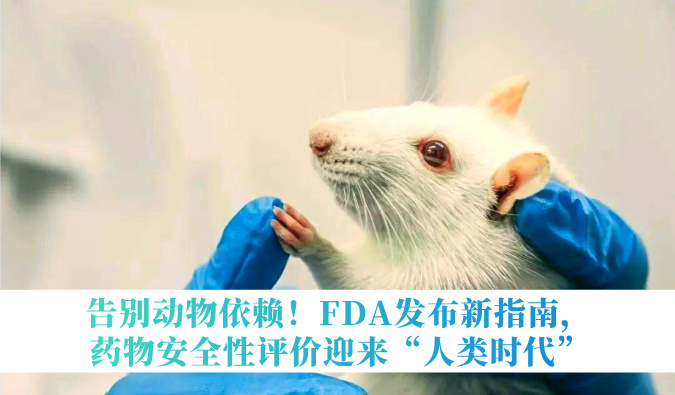 告别动物依赖！FDA发布新指南，药物安全性评价迎来“人类时代”